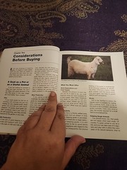 The Goat Handbook:Purchase Housing Feeding Health Behavior 2006