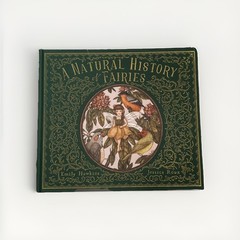 Natural History of Fairies by Emily Hawkins (2020, Hardcover)