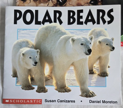 Lot of 14 Scholastic Science Emergent Readers Time to Discover Books Homeschool