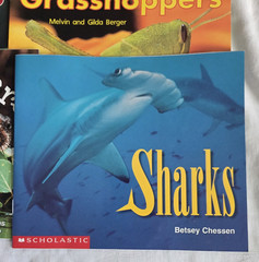 Lot of 14 Scholastic Science Emergent Readers Time to Discover Books Homeschool