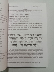 Judaism’s Strange Gods by Michael Hoffman PB