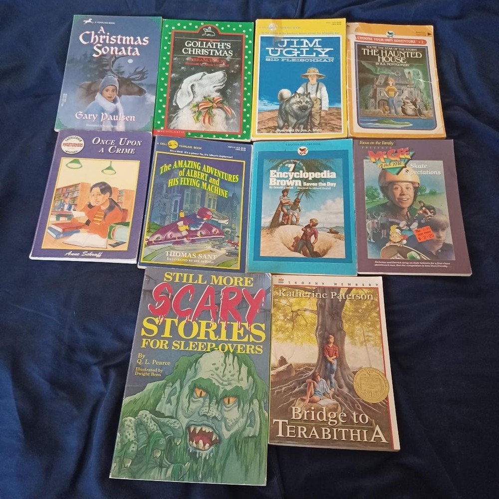 10 Pieces Various Titles Various Authors Young Adult Paperback Book Novel Lot
