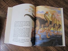 Lot of 22 Discovering Dinosaurs Books By Janet Riehecky Childs World Hardcover