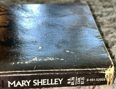 FRANKENSTEIN by MARY SHELLEY Signet Classic 1983