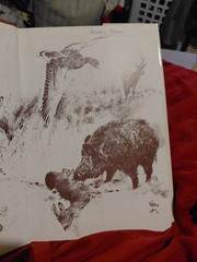 The Living Forest by Rien Poortvliet (1979, Hardcover)