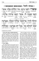 Artscroll Hebrew English Deluxe Interlinear Pocket Size Siddur &Tehillim Set