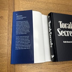 Torah Secrets By Rabbi Boruch Adler Studies In Hashkafa Machshava And Sod 2016