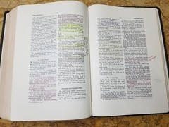 RARE 1999 USA NASB Bible Wide Margin Unknown Leather Opaque Paper USED L@@K🌟