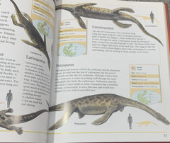 Complete Guide to Dinosaurs by Chris McNab – Hardcover – Velika Enciklopedija