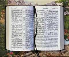 RUSSIAN BIBLE SCOFIELD Русская Библия с комментариями Скоуфилда