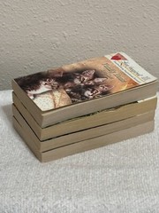 Steeple Hill Love Inspired Series Lot 4 Paperback Books