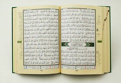Medium Tajweed (Color Coded) Qur’an Dar Marifa Mushaf – Size 14×20 cm (5.5×8 in)