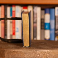 Pere Goriot Honore de Balzac Franklin Library 1980 Leatherbound 100 Greatest