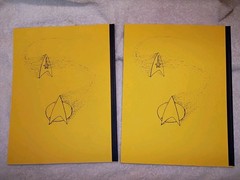 Lot of 2 Star Trek Fanzine. „Time After Time And Time Again” Crossover.