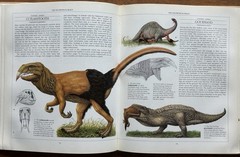 The New Dinosaurs Dougal Dixon 1988 First Edition HC/DJ Speculative Evolution