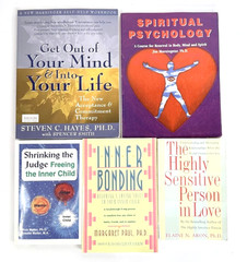 Lot 5 Psychology Self-Help Books Hayes Morningstar Malter Paul Aron PB Set