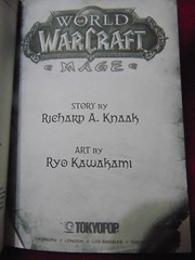 WORLD of WARCRAFT ~ MAGE ~ Graphic Novel by Richard A. Knaak (2010 – 1st Print)