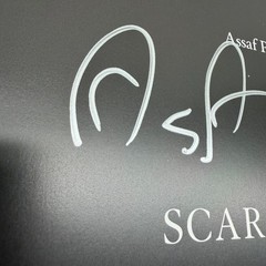Scar Tissue Assaf Pocker Art Photography Book HAND SIGNED by author – READ