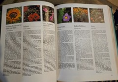 1994 Treasury Of Gardening Annuals Perennials Herbs Etc 1st Edition HC Like New
