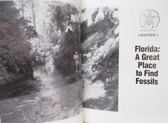 Florida’s Fossils by Brown Guide to Location, Identification and Enjoyment book