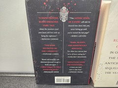 Wicked Saints & Ruthless Gods by Emily Duncan HC 1st Ed w/ (1) Signed Owl Crate
