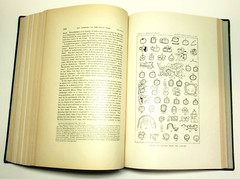 American Indian Ethnology Sixteenth 16th Annual Report 1894 -1895