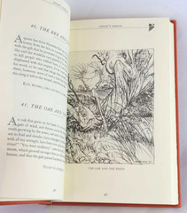 AESOP’S FABLES Illustrated by Arthur Rackham Flexi Bound Faux Leather Brand NEW
