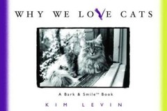 Why We Love Cats – Hardcover By Levin, Kim – GOOD