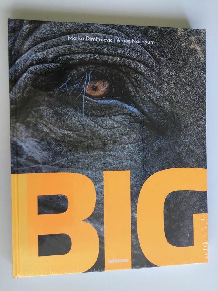 Big: A Photographic Album of the World’s Largest Animals