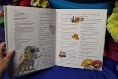 Roaring Brook Press I Wonder Why Questions Children’s – Countries Fly Flags Book