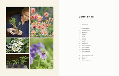 The Money-Saving Garden Year: A Month-by-month Guide to a Great Garden that Cost
