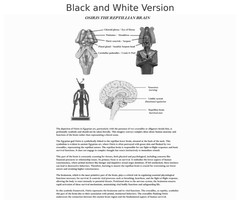 Book of Wisdom Volumes 1 & 2 by Harry B. Joseph (Paperback 2-Book Bundle)