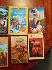 Lot of 12 Vintage Scholastic Dell Kids Pre-teen Teens Chapter Books for Boys PB
