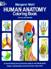 Human Anatomy Coloring Book (Dover Children’s Science Books) – ACCEPTABLE