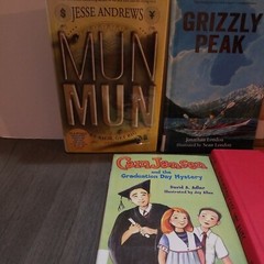 Lot of 10 Mixed Random Children’s Books and Young Adult Novels, Classic Stories