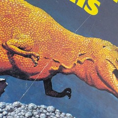 Dinosaurs And Prehistoric Animals Book Vintage 1981 Kid’s Hardcover Honey Bear
