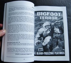 WHEN BIGFOOT ATTACKS, Michael Newton, paperback, 2000, rare, CFZ Press