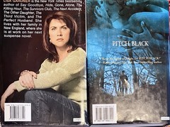 LARGE Print lot (2 hc/dj ) SUSAN CRANDALL pitch black LISA GARDNER neighbor