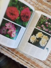 Botanica’s Pocket Roses: Over 1000 pages and 2000 roses listed (2001,Pb)