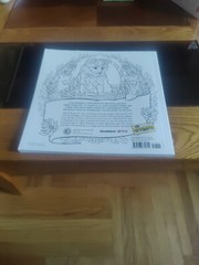 Queen Charlotte, A Bridgerton Story: The Official Coloring Book by Netflix