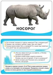 Животные. Развивающие карточки 0+ Kids Book in Russian