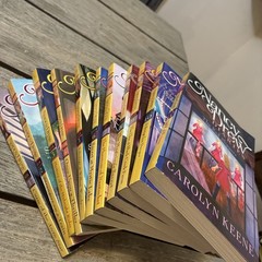 Nancy Drew Diaries Books Set 1-11