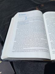 1998 NIV Prophecy Marked Reference Study Bible Bonded Leather Great Resource!