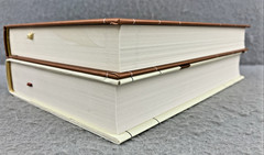 The DAILY STOIC Boxed Book Set by Ryan Holiday and Stephen Hanselman 2 Volumes