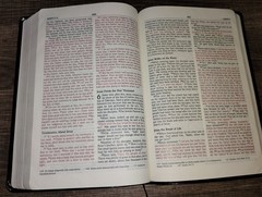 NIV Thinline Bible New International Version 1996 Zondervan Bonded Leather Bound