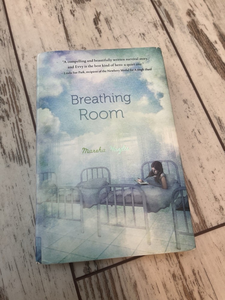 Breathing Room by Marsha Hayles – Gently Used Hardcover, 244 Pages, Young Adult