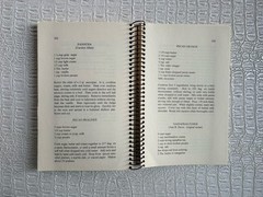 VTG Ashantilly Cookbook Darien Georgia Wire Spiral Bound Haynes Family 200 Pages