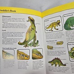 The Incredible Dinosaur Expedition Karen Dolby Usborne Puzzle Kids Book Vintatge