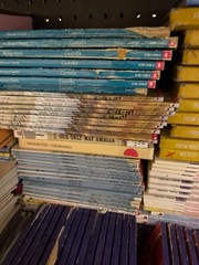 Lot of 30 RANDOM YOUTH Kids Chapter Books Instant Library Bundle