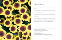 Chrysanthemums: Beautiful Varieties for Home and Garden (Flowers), Slade, Naomi,